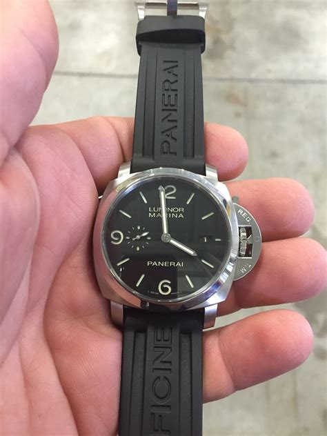 Seeking first Panerai 